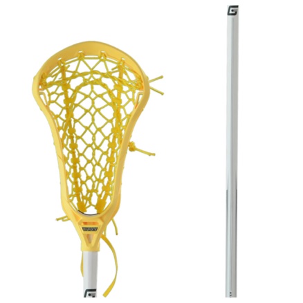 GAIT WHIP-FLEX-YL